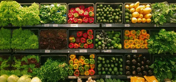 Grocery receipts being analyzed for spending patterns