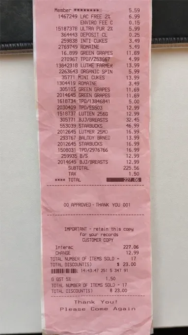 Receipt items extracted with categories and prices